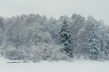 Similar image 22178092