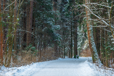 Similar image 22178093