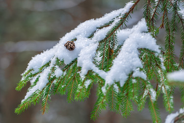 Similar image 22178095