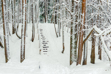 Similar image 22178096