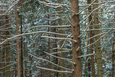 Similar image 22178097