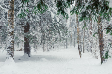 Similar image 22178098