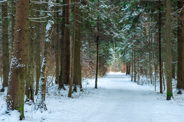 Similar image 22178099