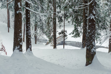 Similar image 22178106