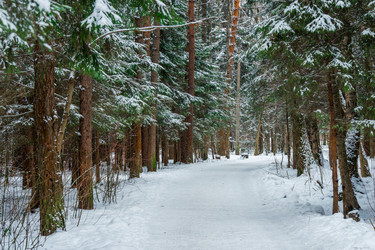 Similar image 22178109