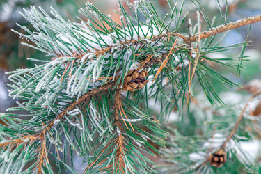 Similar image 22178334