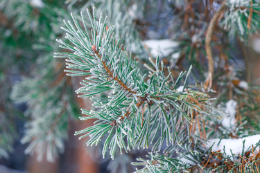 Similar image 22178336