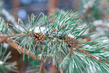 Similar image 22178338