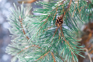 Similar image 22178342