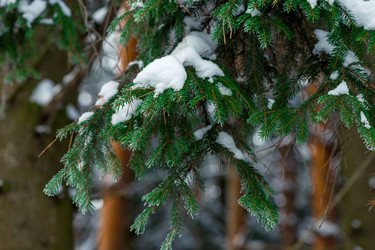 Similar image 22178348