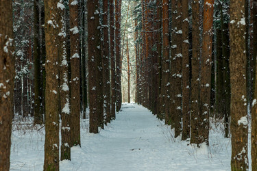 Similar image 22178352