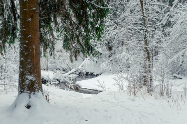 Similar image 22178353