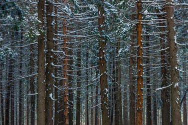 Similar image 22178354