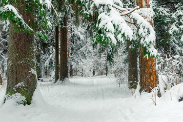 Similar image 22178355