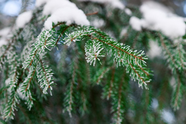 Similar image 22178358