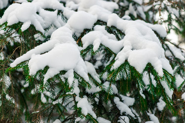 Similar image 22178360