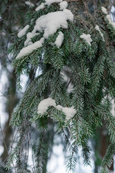 Similar image 22178362