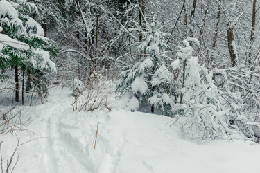 Similar image 22178363