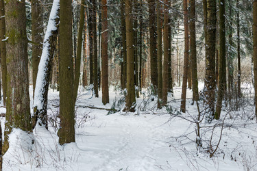 Similar image 22178366