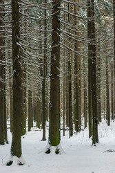 Similar image 22178370