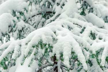 Similar image 22178373