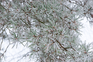 Similar image 22178378