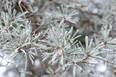 Similar image 22175806