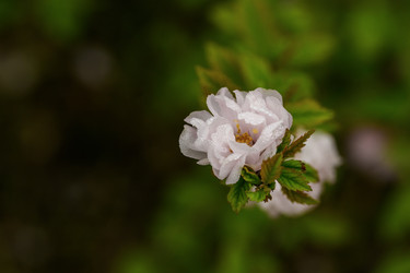 Similar image 22179614