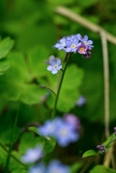 Similar image 22179615