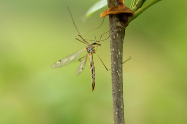 Similar image 22174282