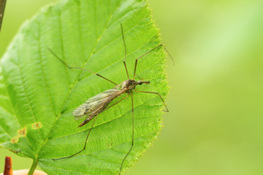 Similar image 22174283