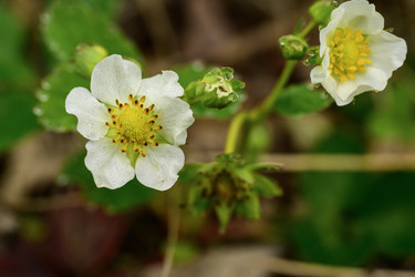 Similar image 22179616