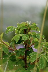 Similar image 22179617