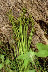 Similar image 22174284