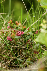 Similar image 22174285