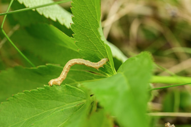 Similar image 22179620