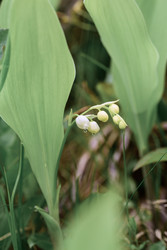 Similar image 22179621