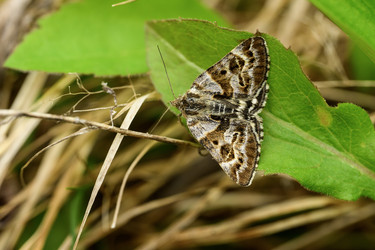 Similar image 22179622