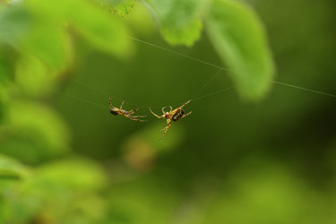 Similar image 22174494