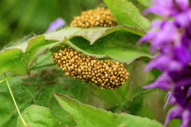 Similar image 22174496