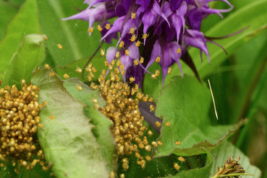 Similar image 22174497