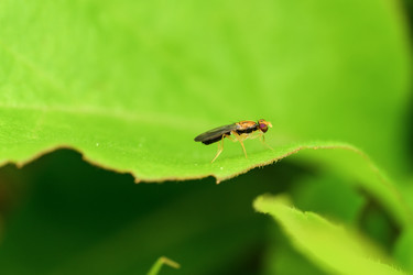 Similar image 22179625