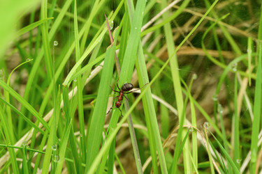 Similar image 22179627