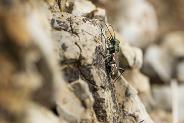 Similar image 22174498