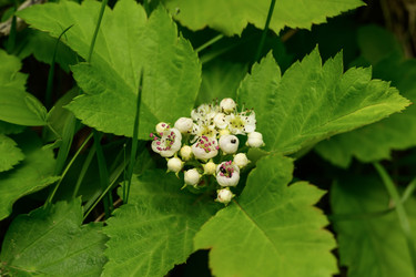 Similar image 22179628