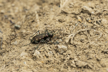 Similar image 22174499