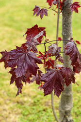 Similar image 22179629