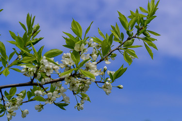 Similar image 22174500