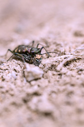 Similar image 22174501