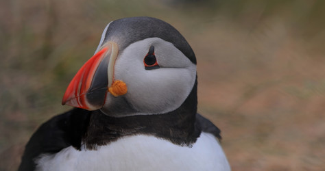 Similar image 22174617